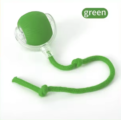 Cat Toy for Endless Fun